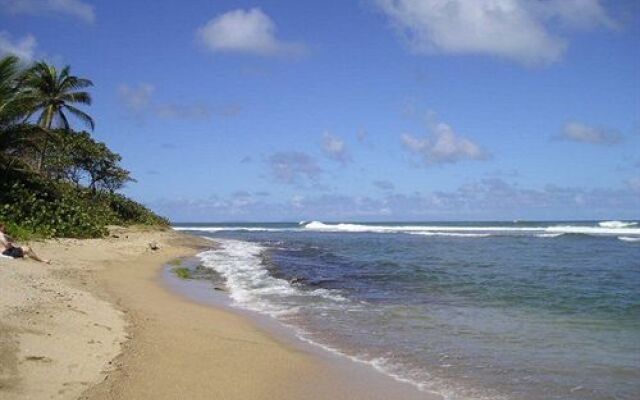 Dominica's Sea View Apartment