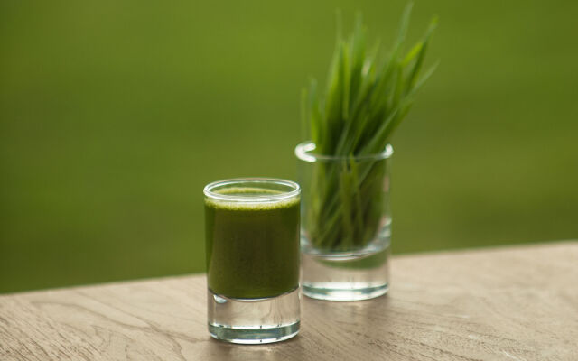 The LifeCo Antalya Well-Being Detox Center
