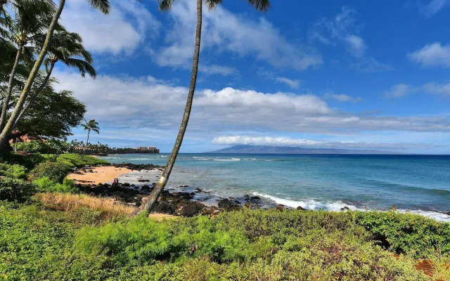 Polynesian Shores