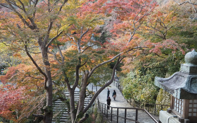 HOTEL WOO - Adults Only