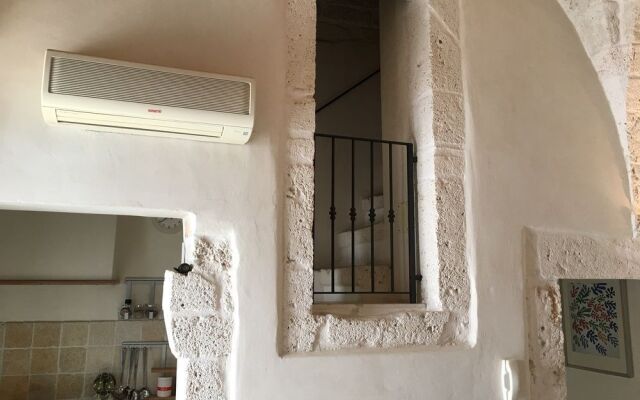 Under the Cherry Moon