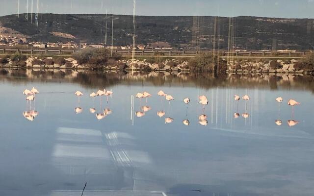 Flamants Roses 3