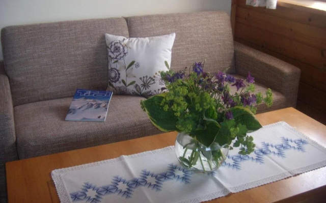 Appartements-Ferienwohnungen Monika Hölzl