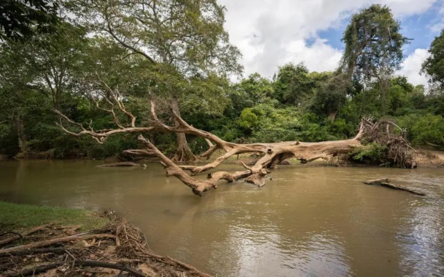 Jungle river humbhaha hostel