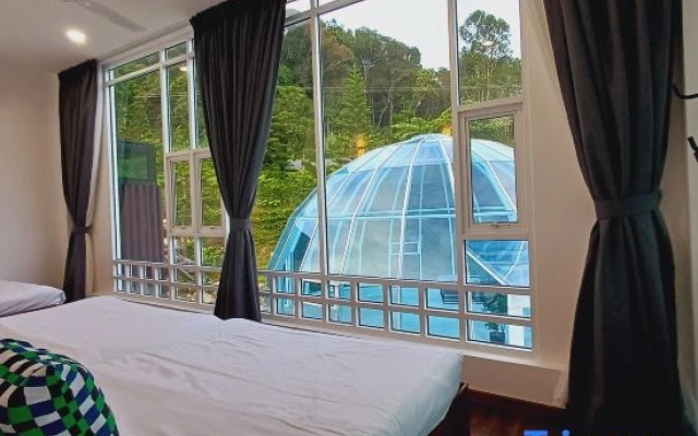 Sling & Stone Mountain Suites