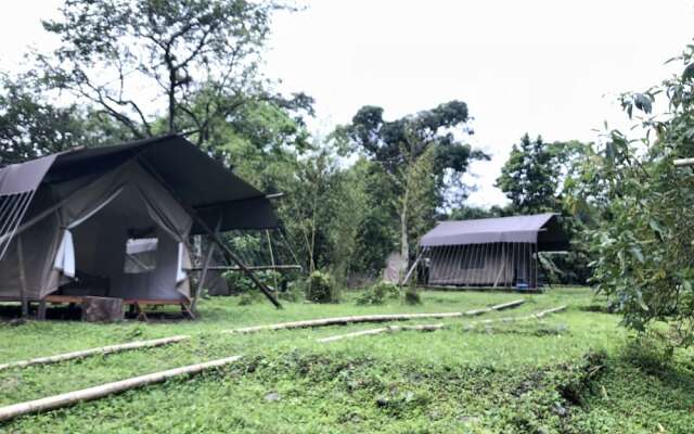 SelvaViva Hotel Boutique - Glamping