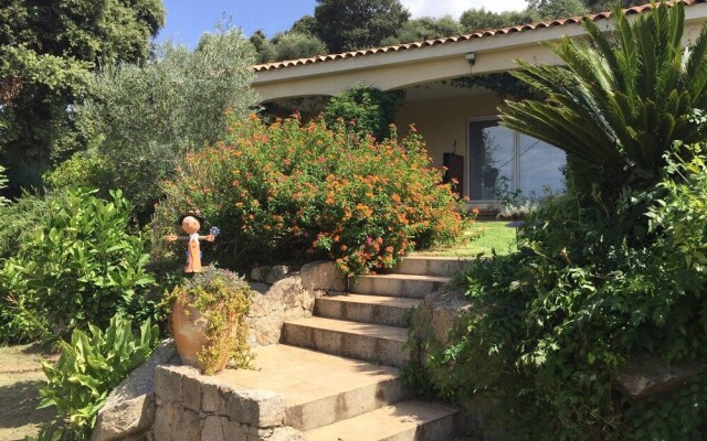 Villa L'Albitru