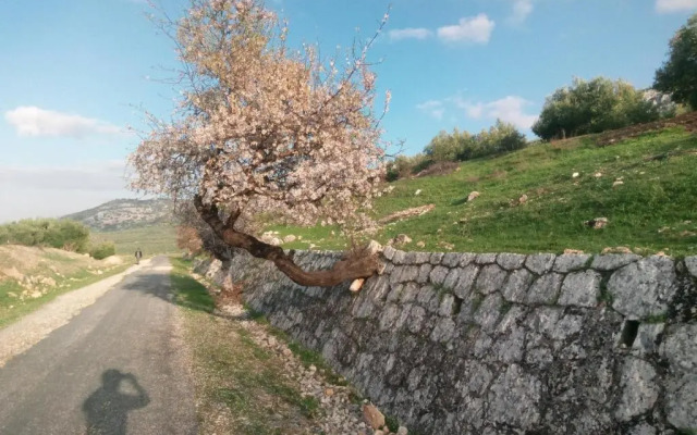 El Hechizo Del Bailón