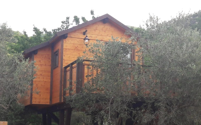 Palazzo Conforti Tree House Resort