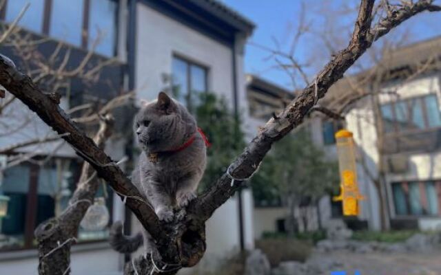 Loulan Courtyard Hotel (Suzhou Pingjiang Road Humble Administrator's Garden)