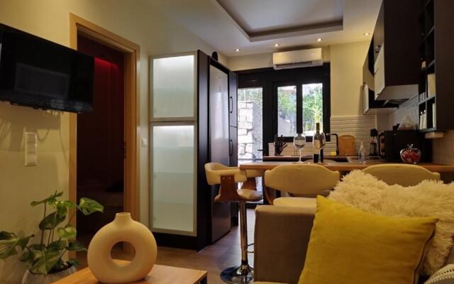 Luxurious apartment in the heart of town !