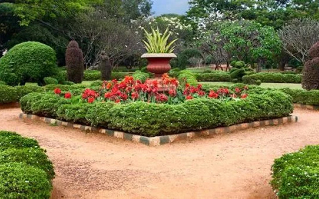 Citrus Classic Bangalore by OTHPL
