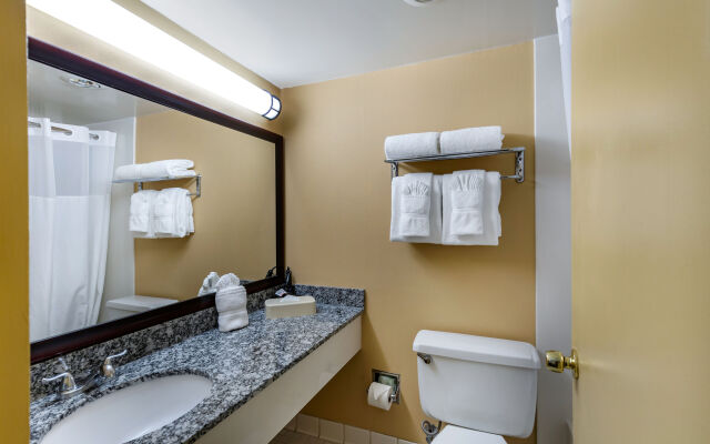 Comfort Inn Irapuato