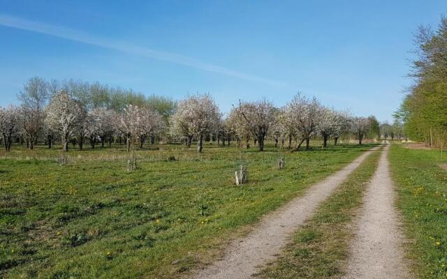 The Blue House - Luxurious Waterfront Villa Zeewolde