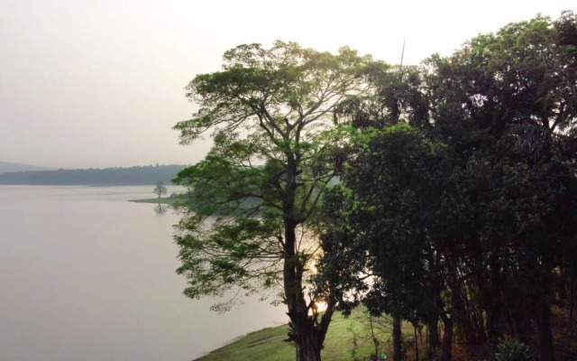 SaffronStays Coorg Toddy Farms, Coorg