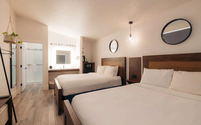 Zion Wildflower, BW Premier Collection