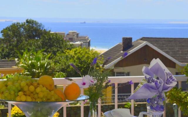 Lavender Terrace B&B