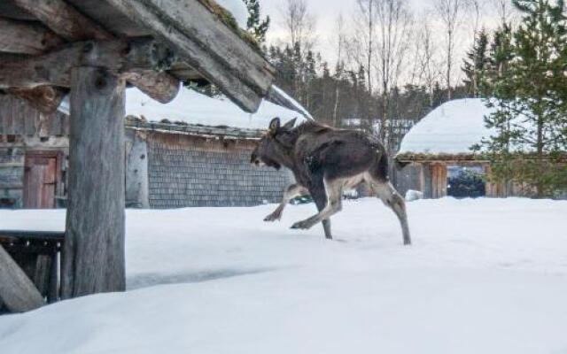 Saga Trollheimen Hotel