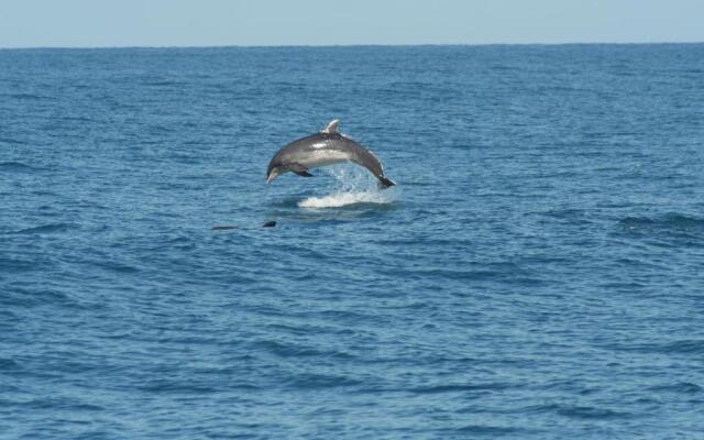 Vacanze a Viareggio