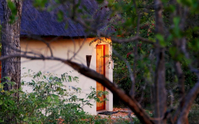 Mbizi Bush Lodge