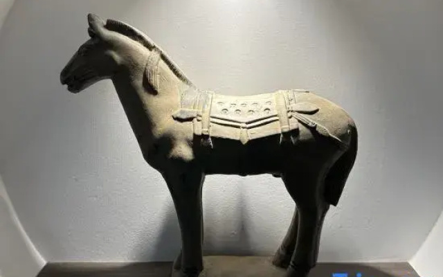 Terracotta Army Theme No. 2 Courtyard Homestay