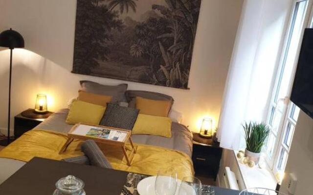 joli studio rénové centre historique