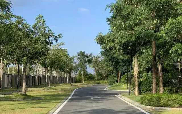 Yixia Holiday Hostel