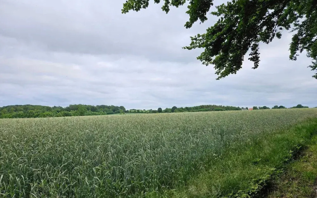 4 Star Holiday Home in Hejls