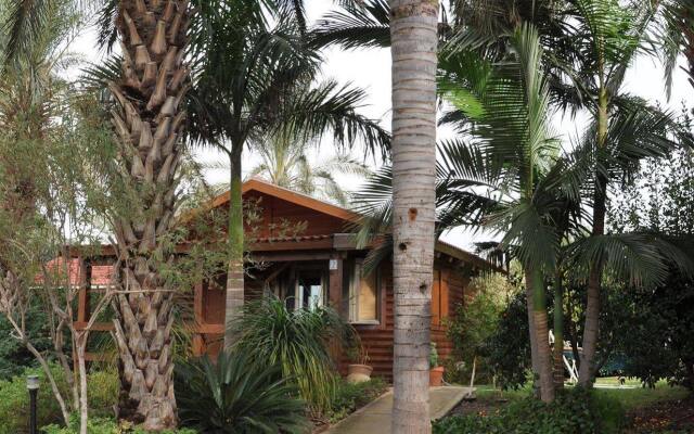 Naomi's B&B