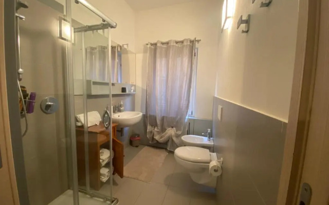 Domus Romanae in centro storico