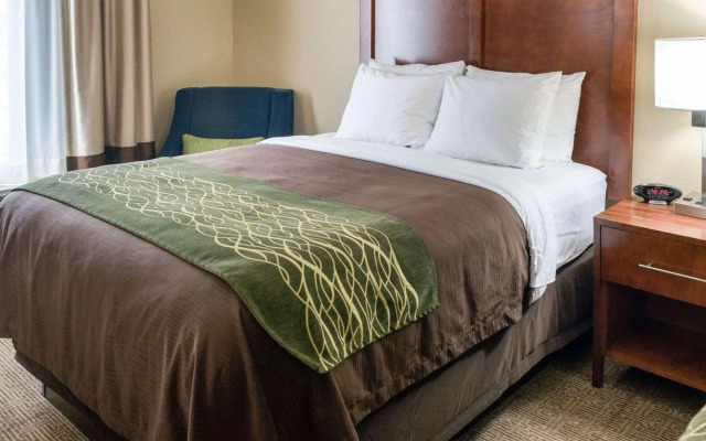Comfort Inn & Suites West - Medical Center