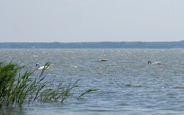 Haus Schilfkante - Wohnung 1