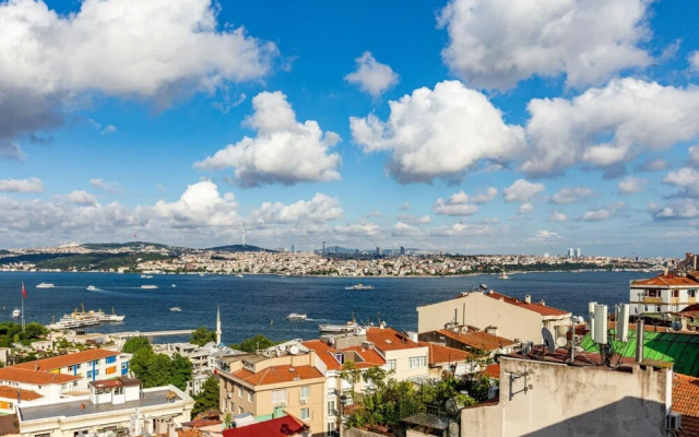 Central Apartment With Bosphorus View in Cihangir