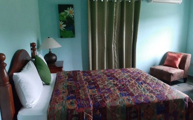 LambLion Holiday Apartments
