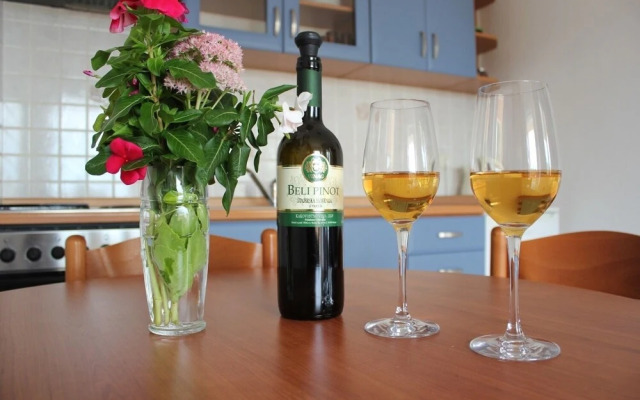 Ružica - 50m From the sea - A2-magnolija