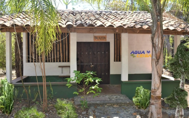 Aqua Ceiba