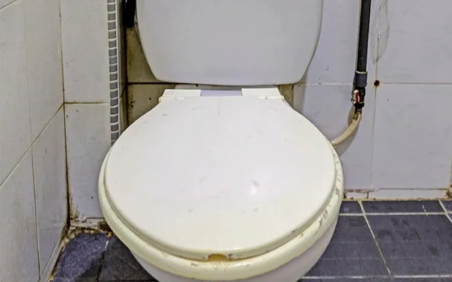 OYO 91368 Jasmine 999