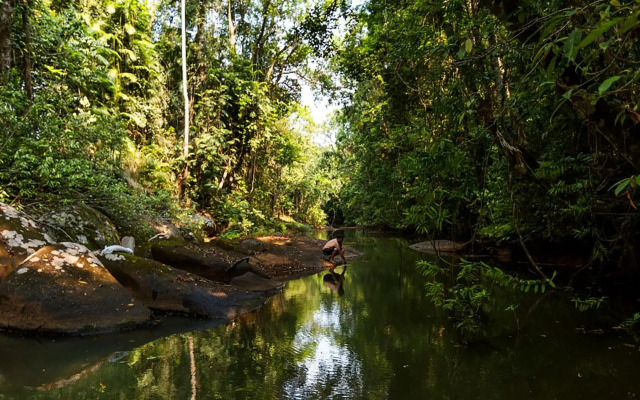 The Canopy Rainforest Treehouses and Wildlife Sanctuary
