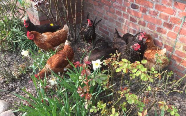 Schäferwagen Tiny House auf dem Friesenhof