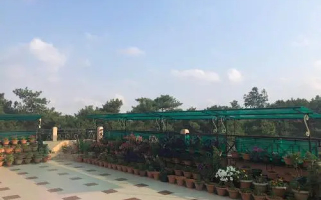 Orange Homestay
