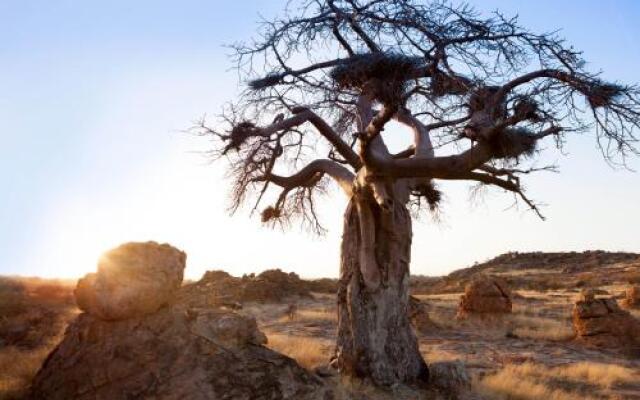 Tuli Game Reserve - Pride Rock Camp