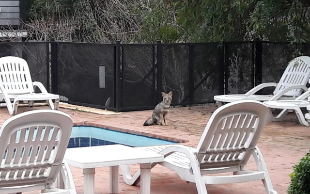 Complejo Entre Marte y La Luna