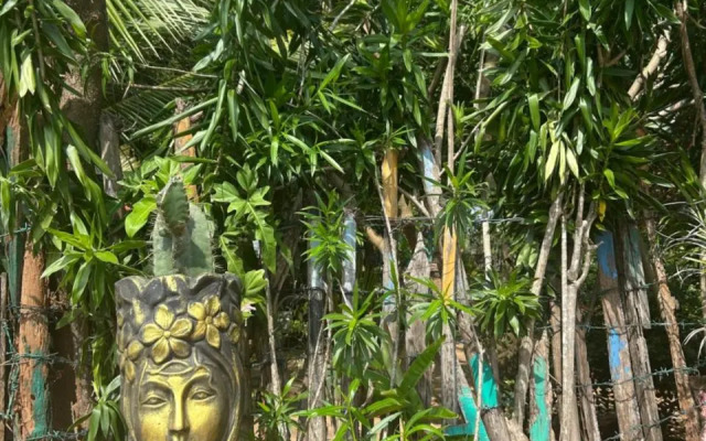 Starfish Beach Bungalows