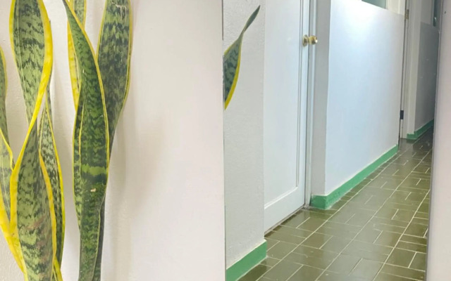 Best Rooms - Quarto 3 Plateau