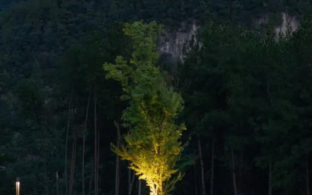 New Joy Hotel (Internatial Trade Spring Department Store Shopping)