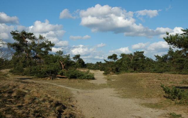 Romantic Wellness Holiday Home Near the Veluwe