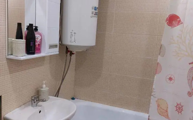 Апартаменты на улице Адмирала Флота Лобова 50