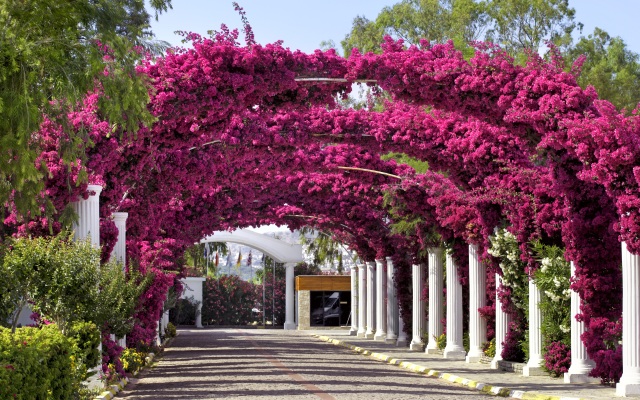 Kadikale Resort-Spa