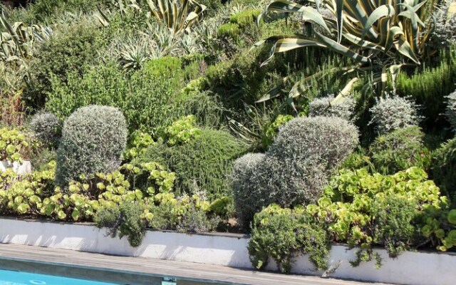 L'Hostellerie Moulin des Oliviers