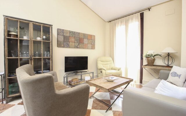 Deluxe apartment plaza de la encarnacion